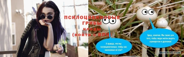 шишки Алексеевка
