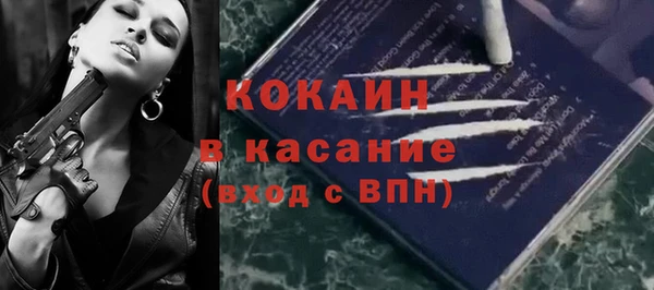 твердый Алексин