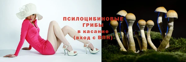 гашик Абаза