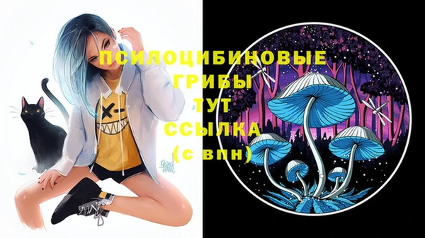 a pvp Алзамай