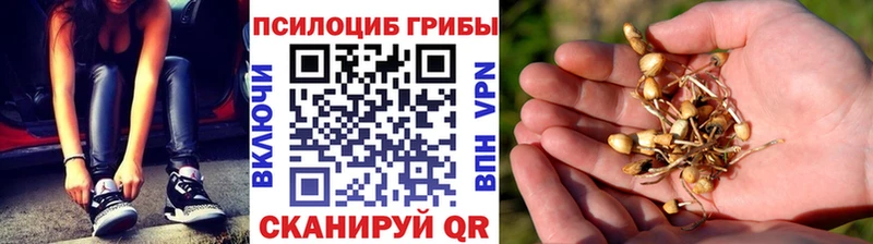 Галлюциногенные грибы ЛСД  блэк спрут как зайти  Архангельск 