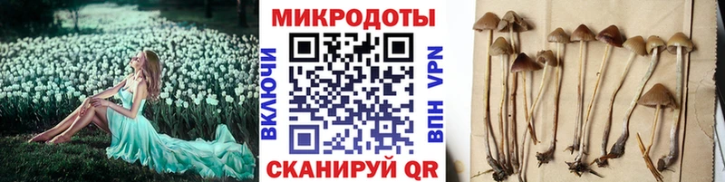Галлюциногенные грибы Cubensis Архангельск