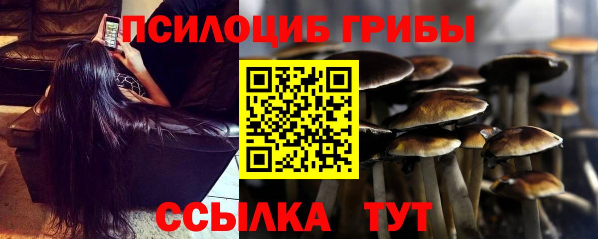 Галлюциногенные грибы GOLDEN TEACHER  Вход с VPN  Псилоцибиновые грибы GOLDEN TEACHER  Архангельск 